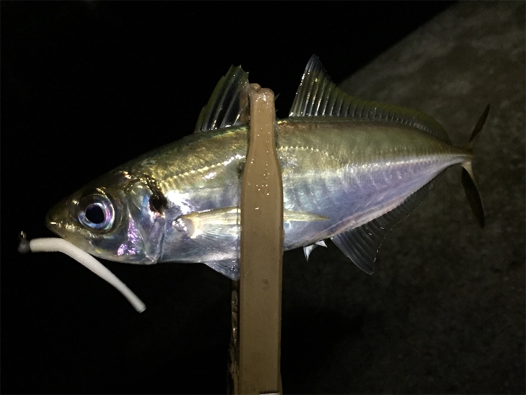 f:id:esojima3:20190703055940j:image
