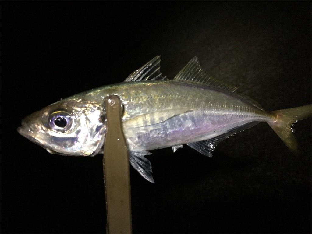 f:id:esojima3:20190703055946j:image