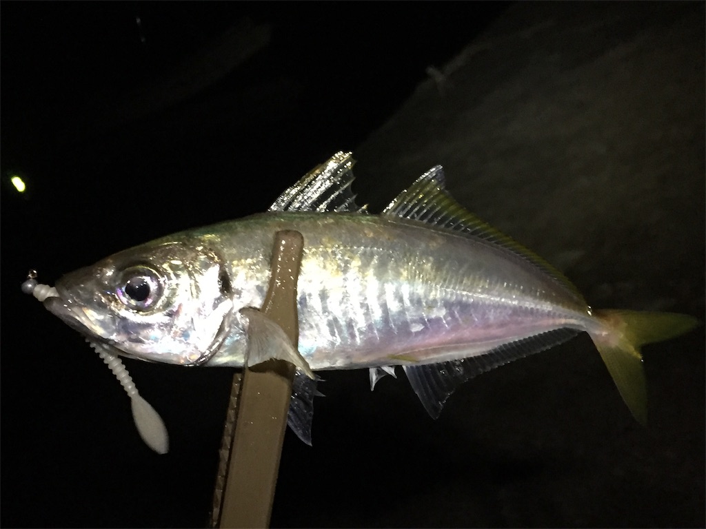 f:id:esojima3:20190703060040j:image