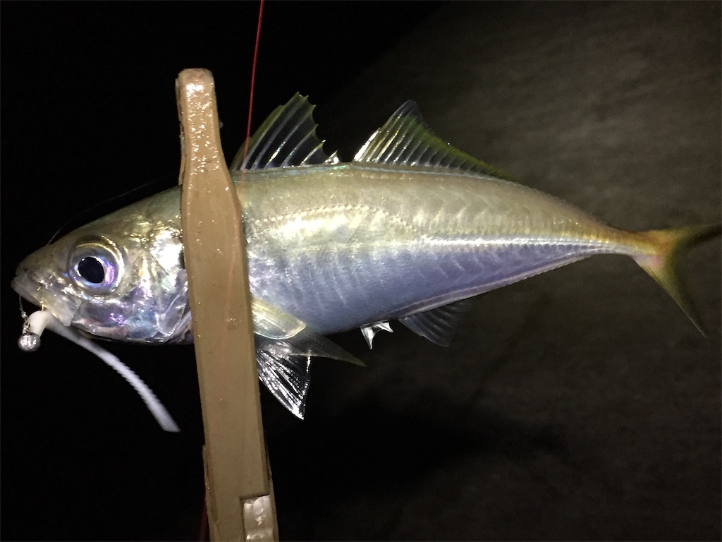 f:id:esojima3:20190703060043j:image