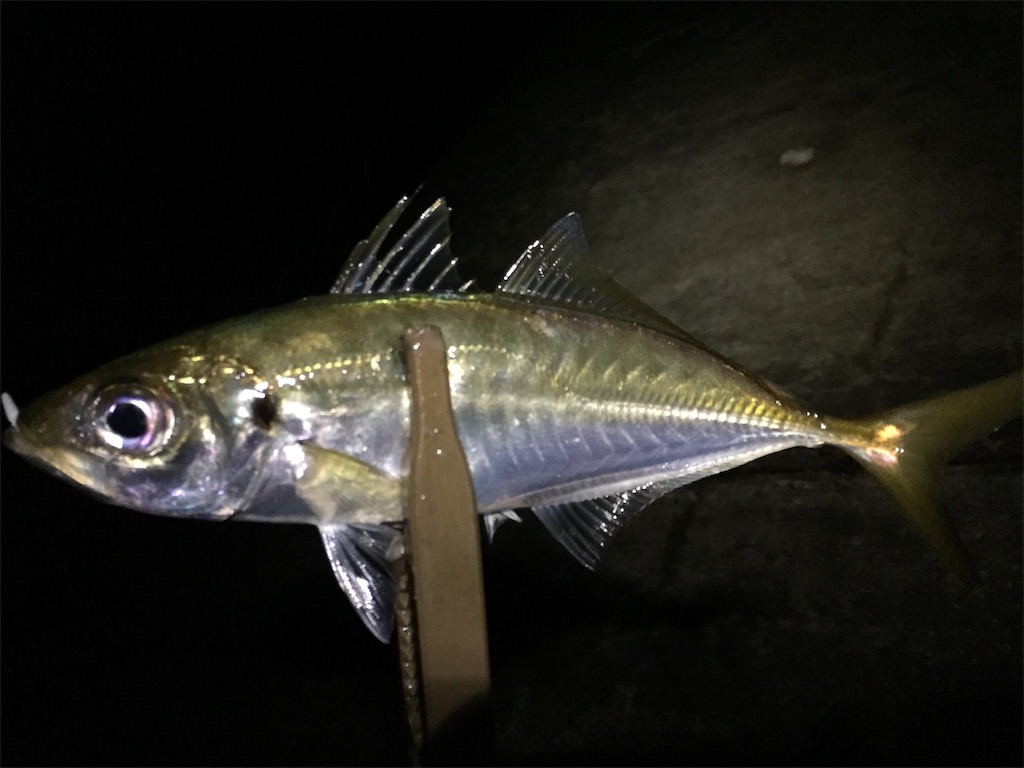 f:id:esojima3:20190703060046j:image