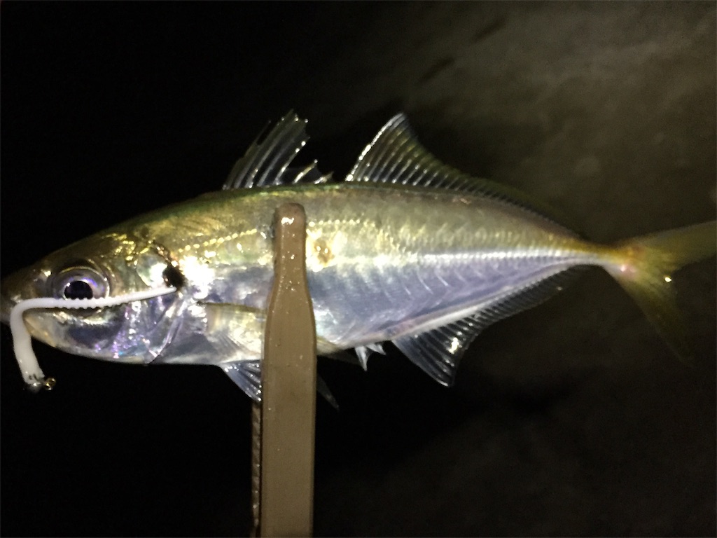 f:id:esojima3:20190703060053j:image