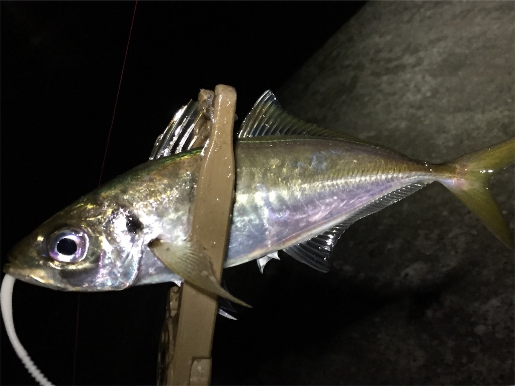 f:id:esojima3:20190703060056j:image
