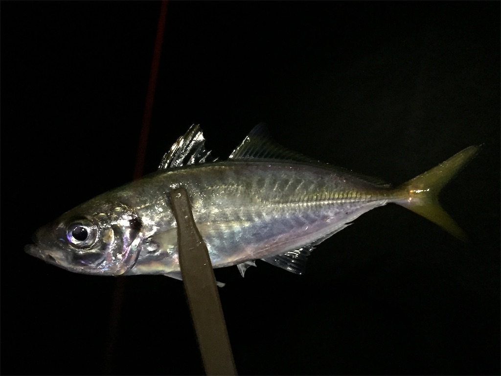 f:id:esojima3:20190704225420j:image