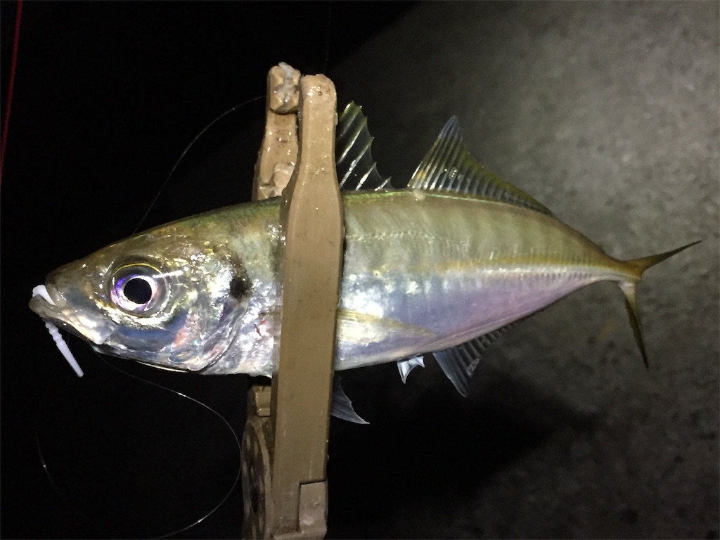 f:id:esojima3:20190704225450j:image