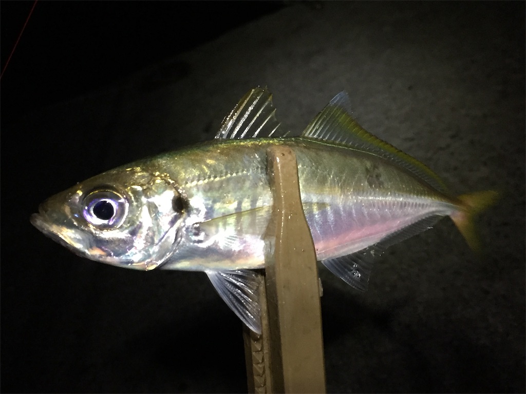 f:id:esojima3:20190704225456j:image