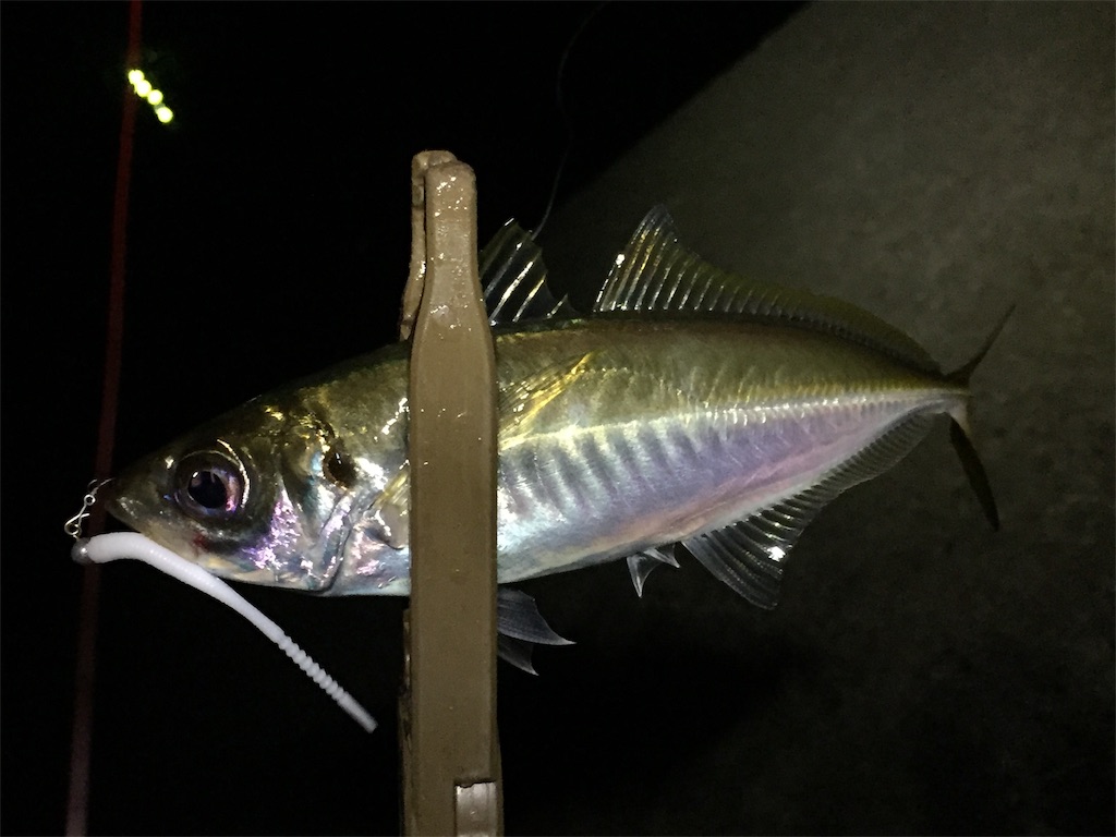 f:id:esojima3:20190706024512j:image
