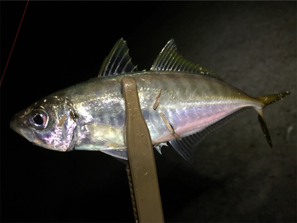 f:id:esojima3:20190706080234j:image
