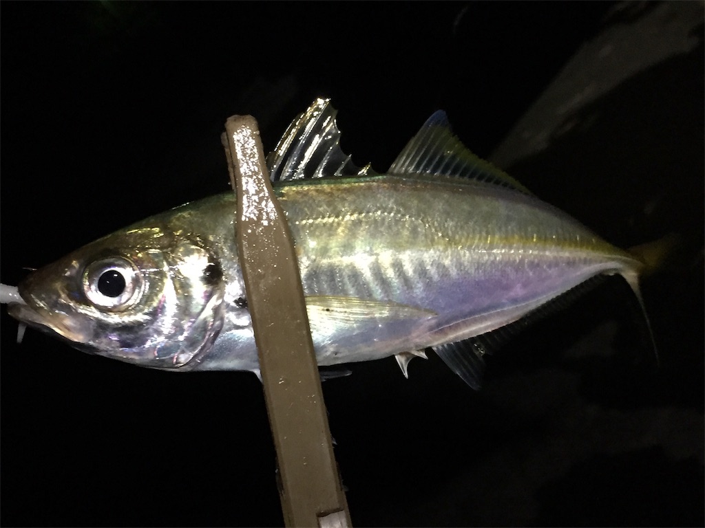 f:id:esojima3:20190706081404j:image