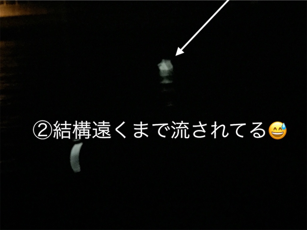 f:id:esojima3:20190706082427j:image