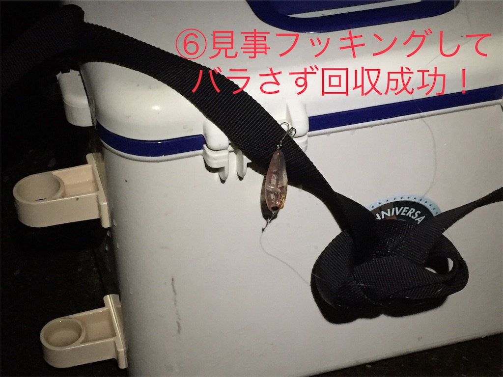 f:id:esojima3:20190706082440j:image