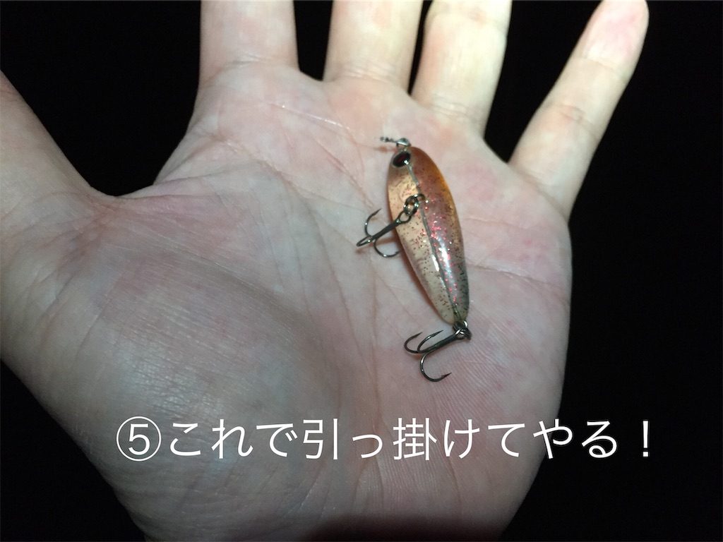 f:id:esojima3:20190706082443j:image