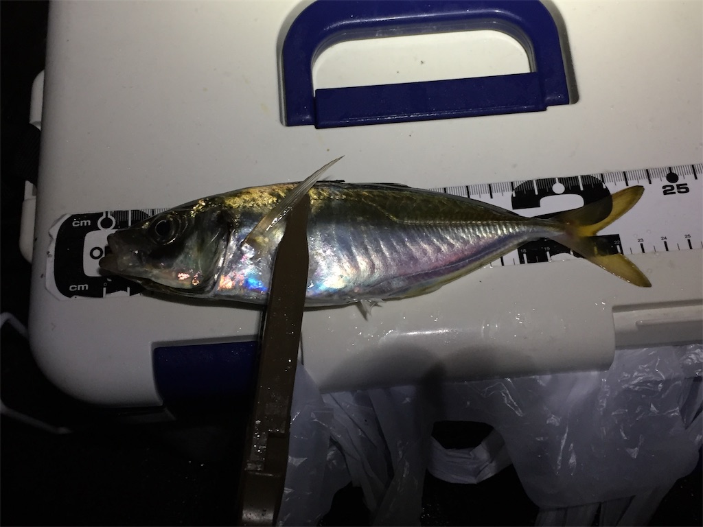 f:id:esojima3:20190706083427j:image