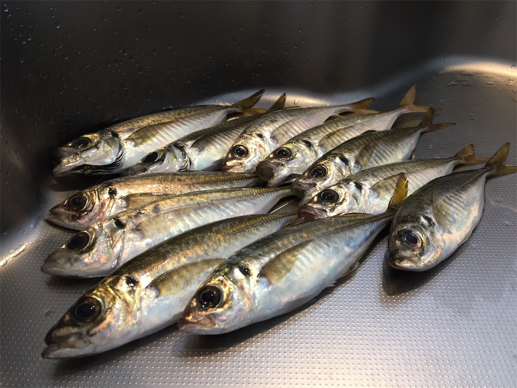 f:id:esojima3:20190706112921j:image f:id:esojima3:20190706112921j:image