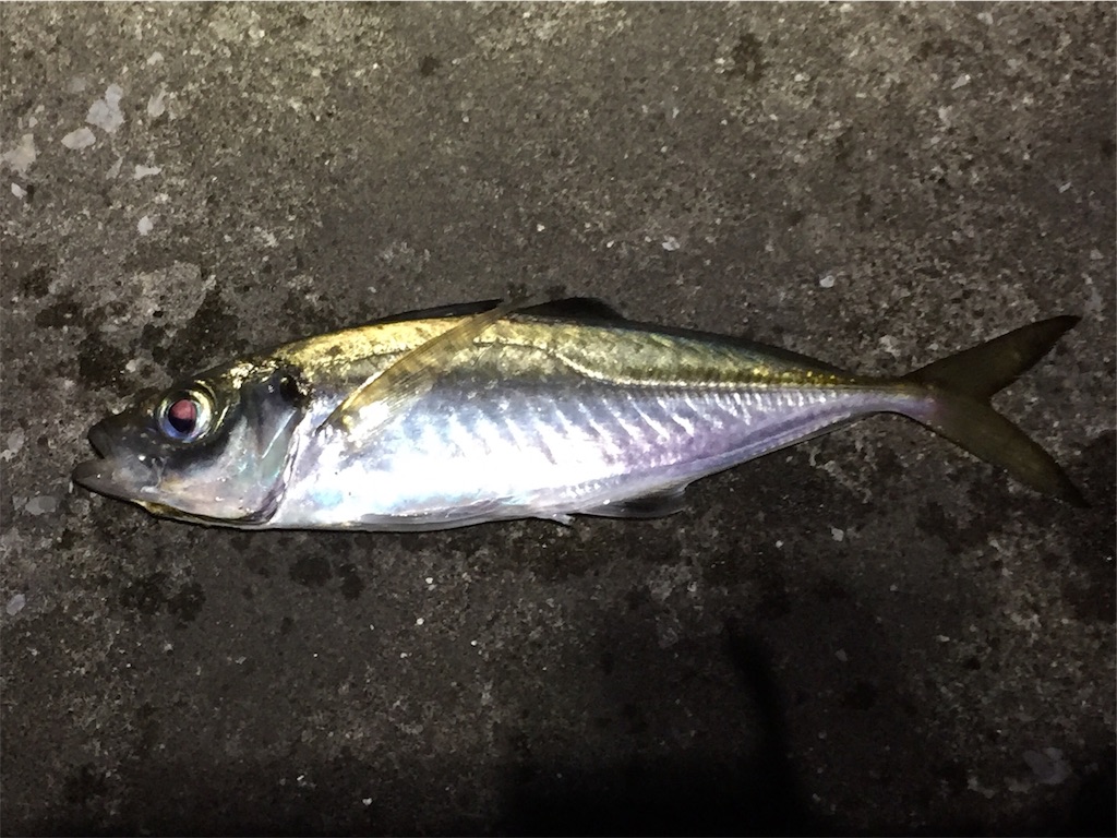 f:id:esojima3:20190707002959j:image