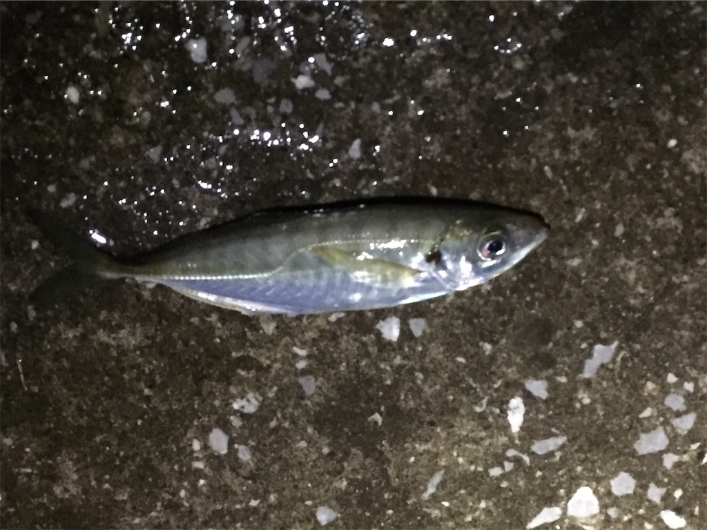 f:id:esojima3:20190707072937j:image