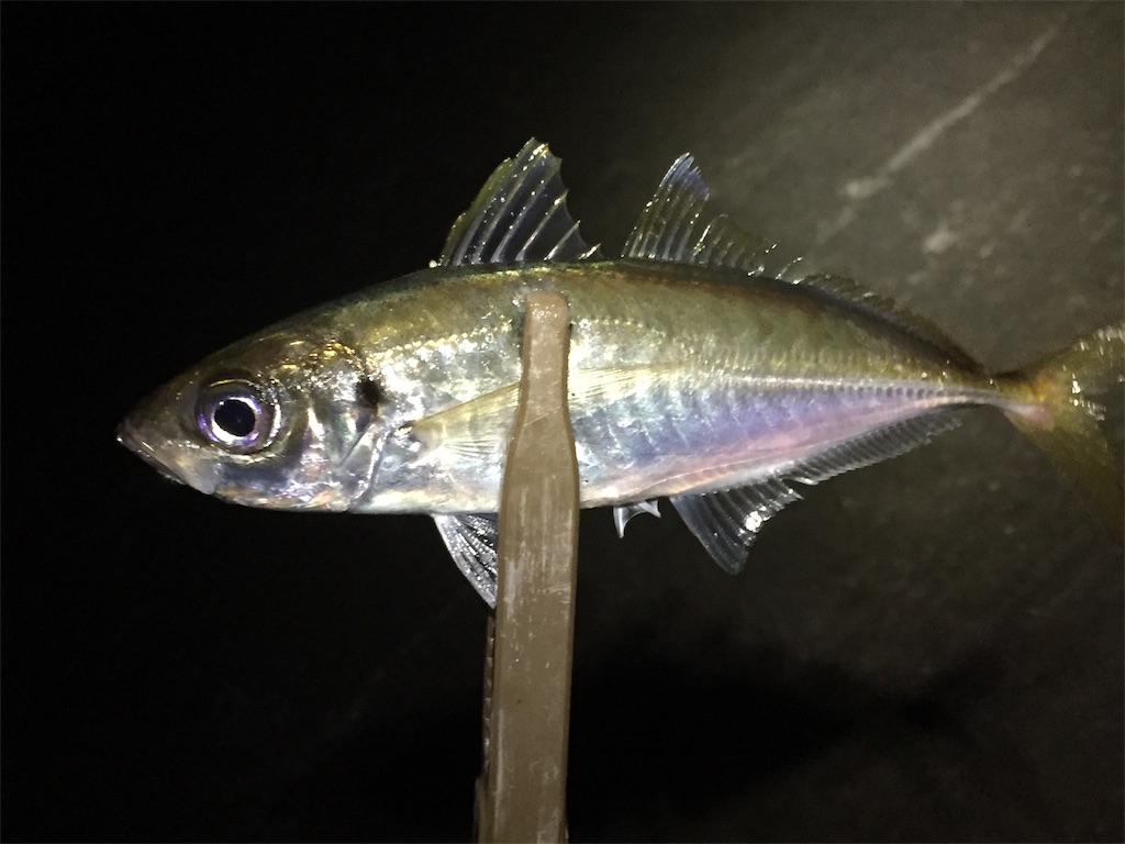 f:id:esojima3:20190708060131j:image f:id:esojima3:20190708060131j:image