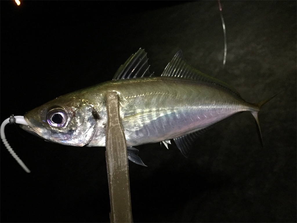 f:id:esojima3:20190708060138j:image f:id:esojima3:20190708060138j:image