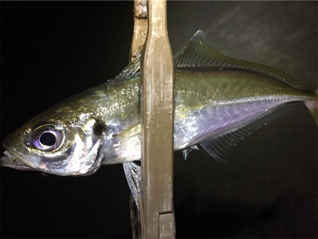 f:id:esojima3:20190708060142j:image f:id:esojima3:20190708060142j:image