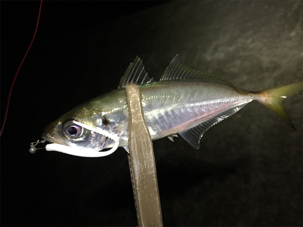 f:id:esojima3:20190708060146j:image f:id:esojima3:20190708060146j:image