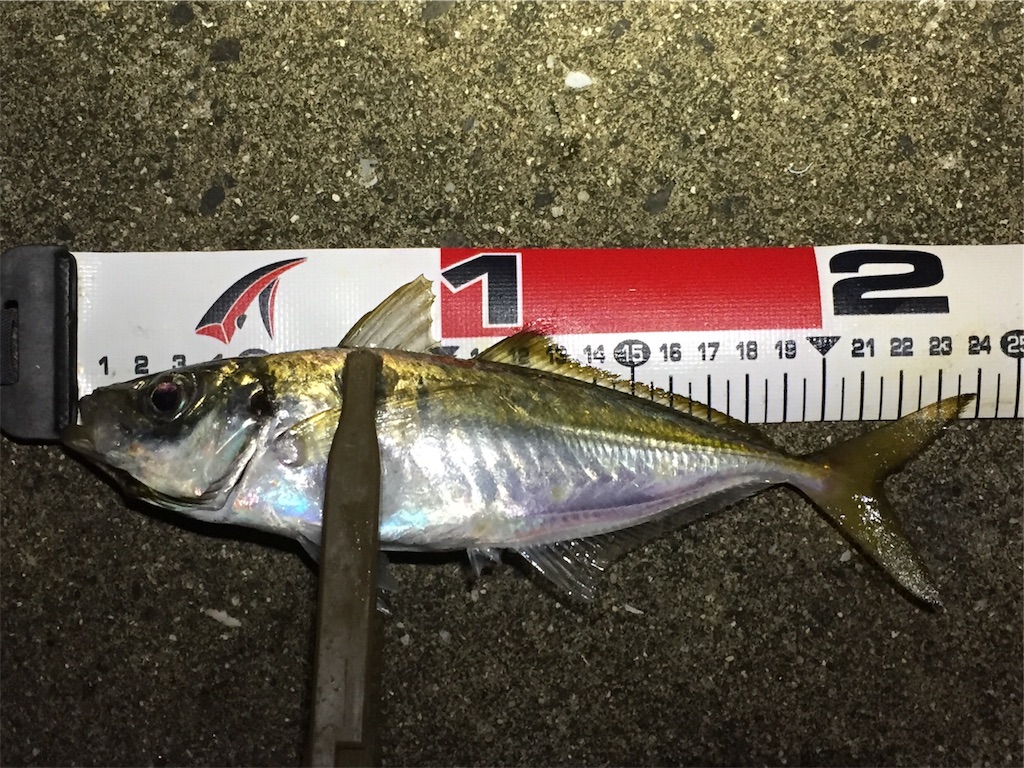 f:id:esojima3:20190708060152j:image f:id:esojima3:20190708060152j:image