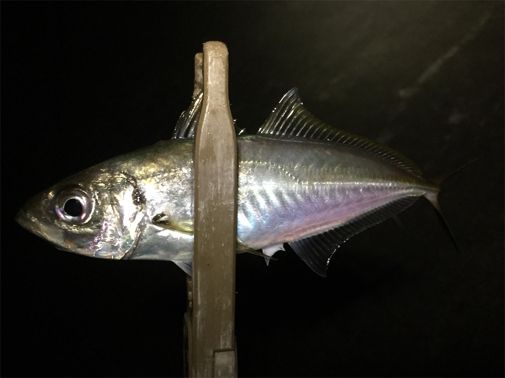 f:id:esojima3:20190708060159j:image f:id:esojima3:20190708060159j:image