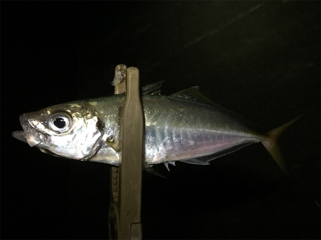 f:id:esojima3:20190708060237j:image f:id:esojima3:20190708060237j:image