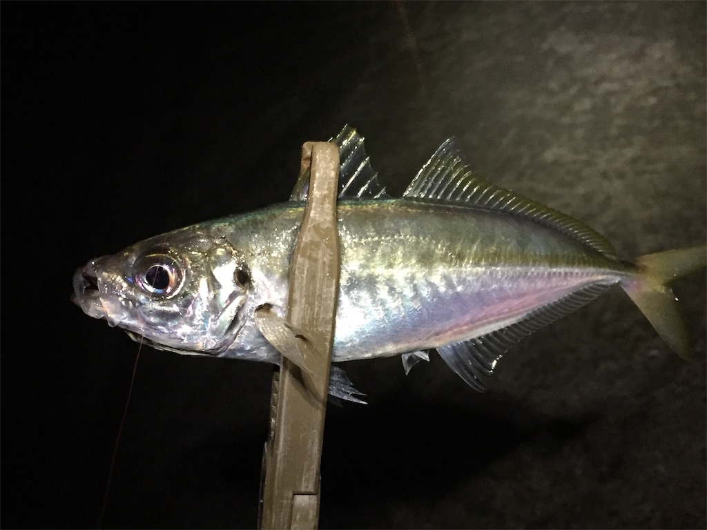 f:id:esojima3:20190708060242j:image f:id:esojima3:20190708060242j:image