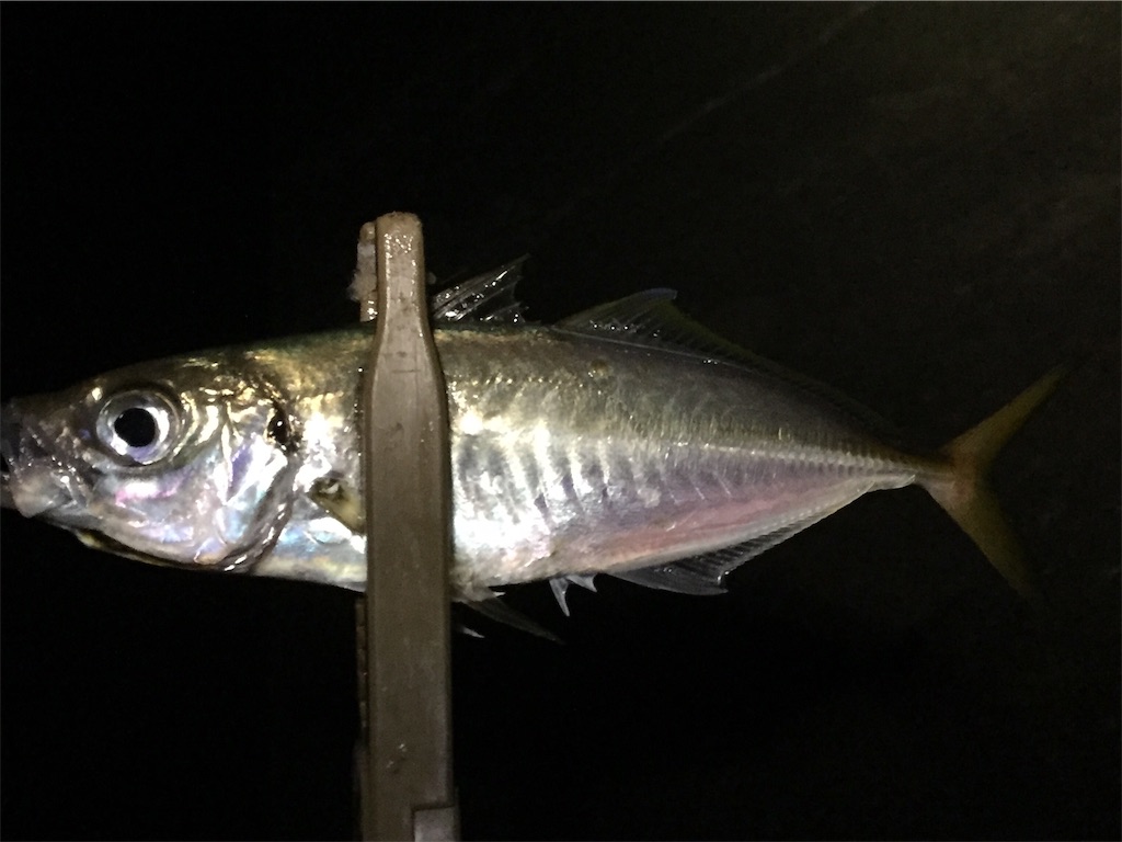 f:id:esojima3:20190708060248j:image f:id:esojima3:20190708060248j:image