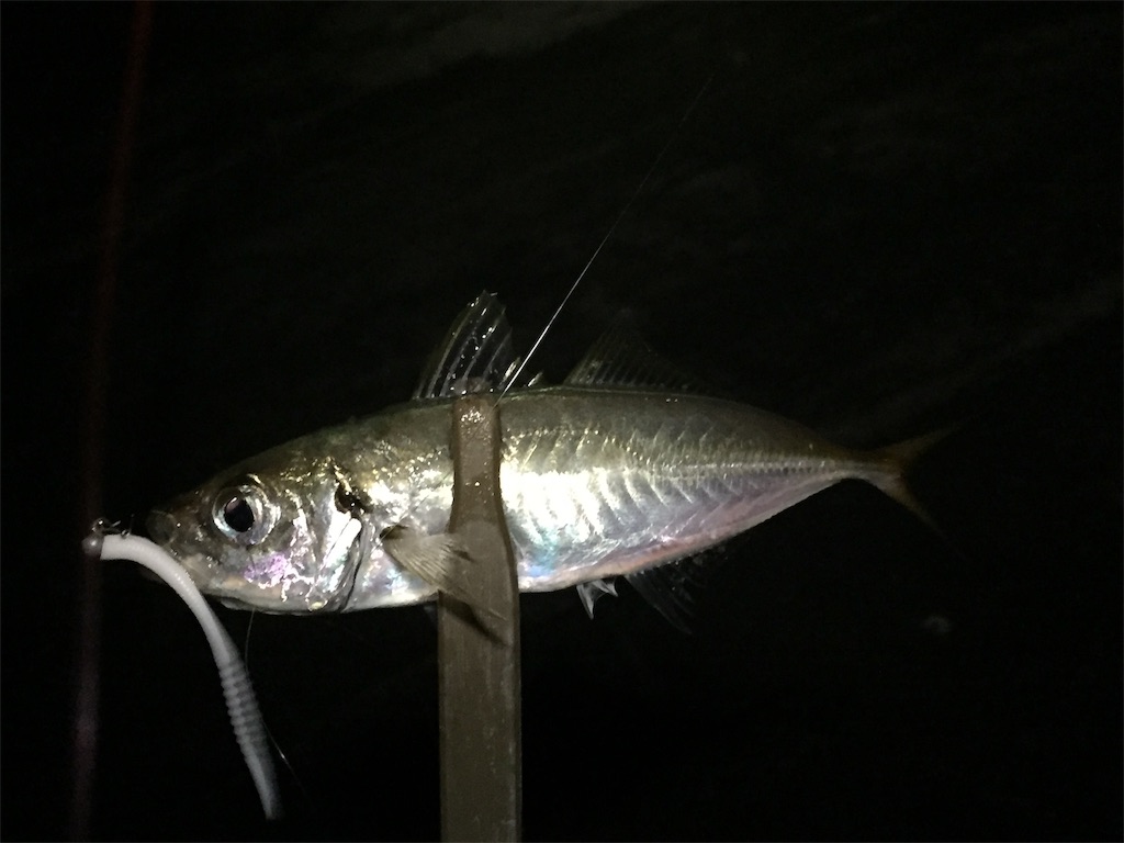 f:id:esojima3:20190708225000j:image