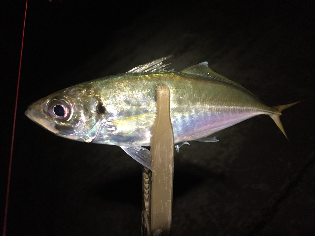 f:id:esojima3:20190708225249j:image