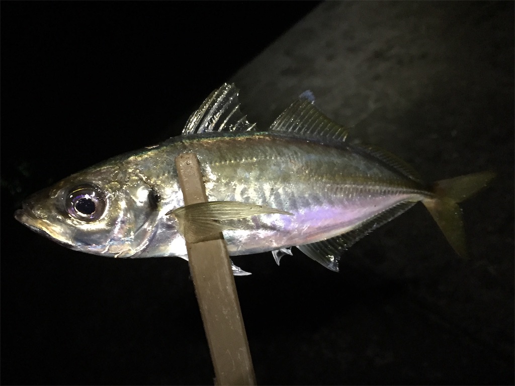 f:id:esojima3:20190708225451j:image