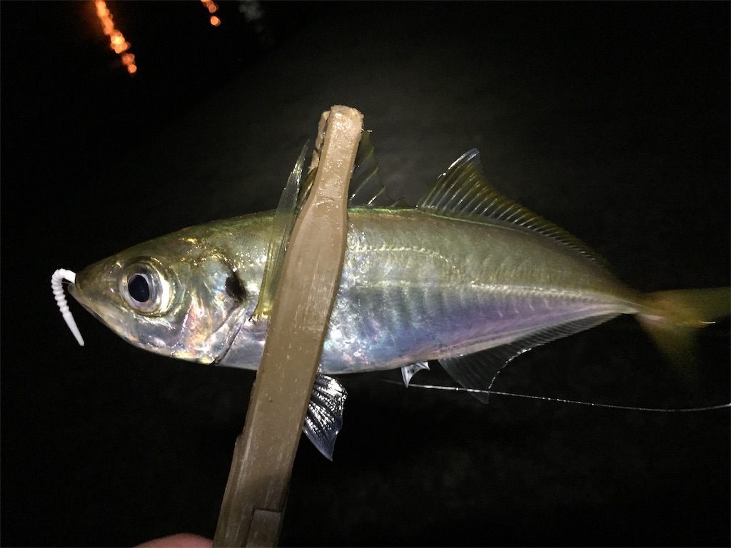 f:id:esojima3:20190708225456j:image