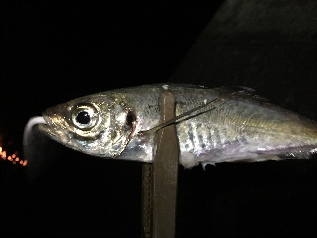 f:id:esojima3:20190708225500j:image