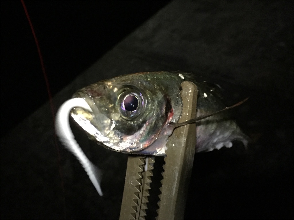 f:id:esojima3:20190708225503j:image