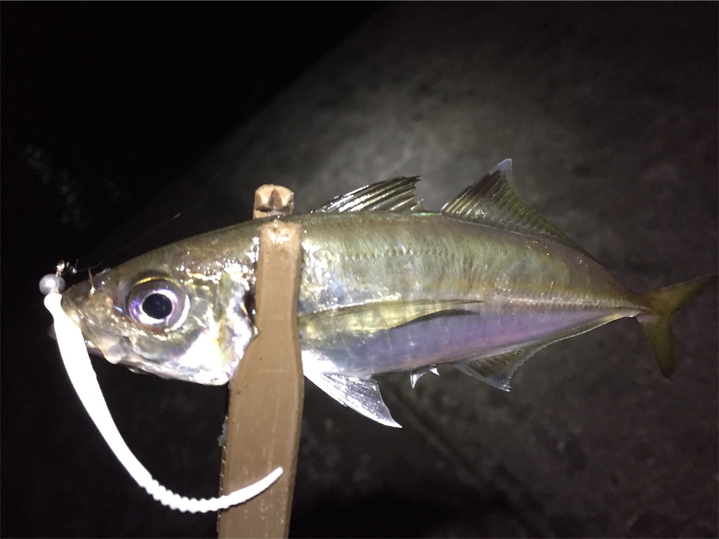 f:id:esojima3:20190708225515j:image