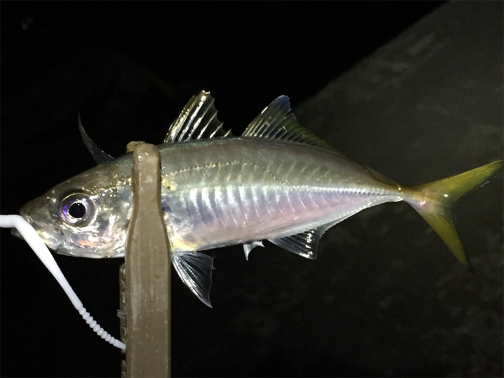 f:id:esojima3:20190711233232j:image