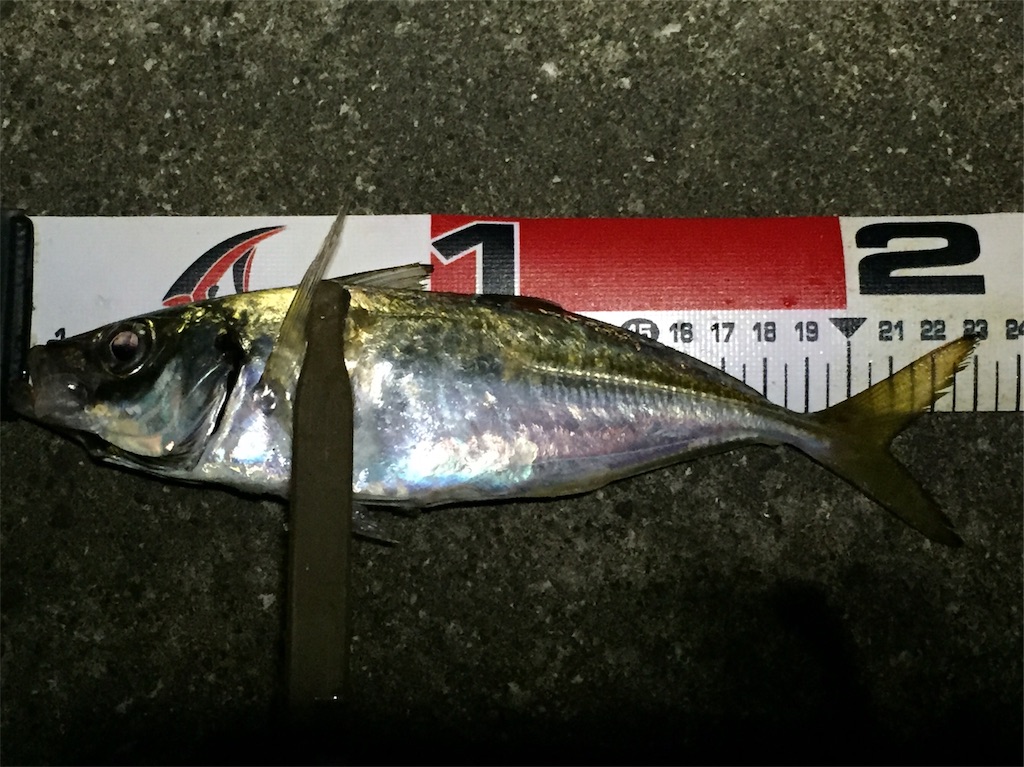 f:id:esojima3:20190711233709j:image