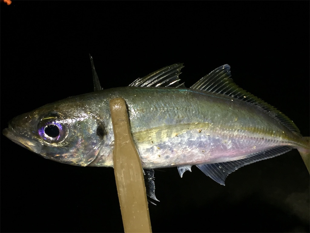 f:id:esojima3:20190711234012j:image