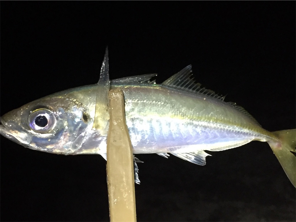 f:id:esojima3:20190711234015j:image