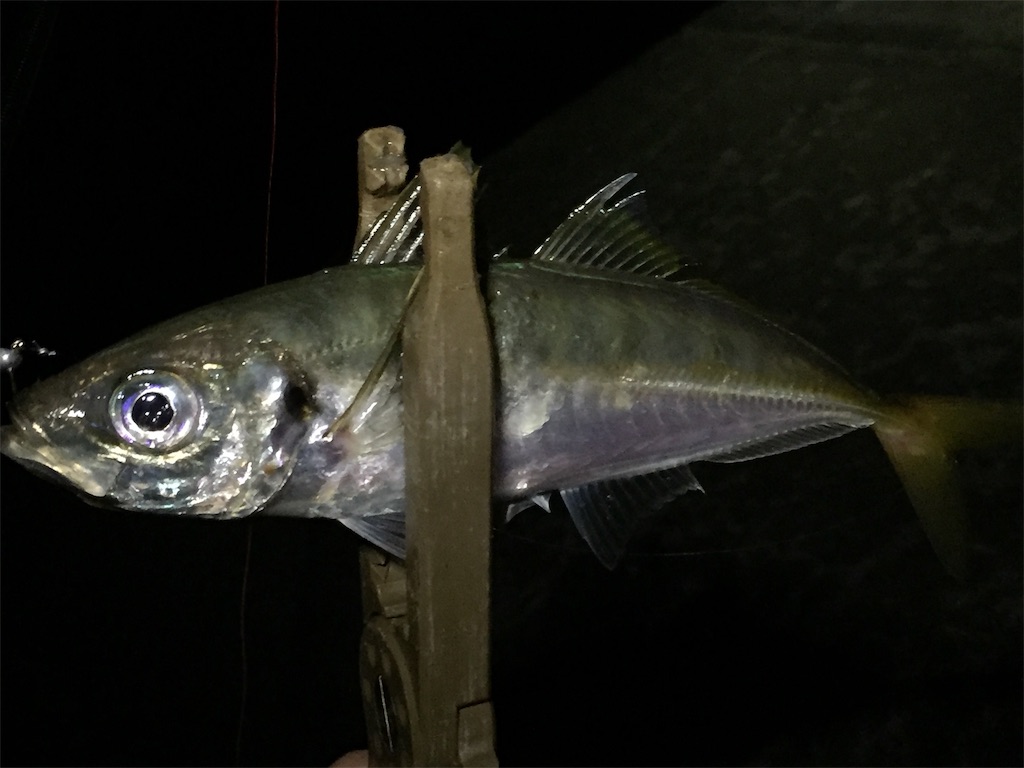 f:id:esojima3:20190711234018j:image