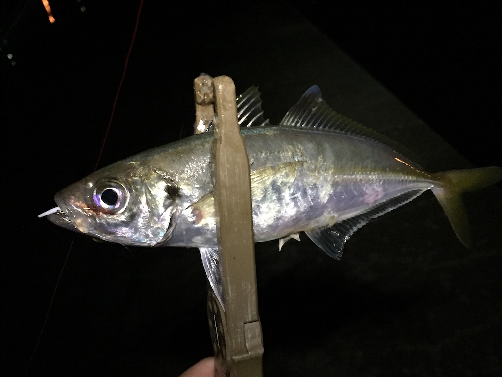 f:id:esojima3:20190711234021j:image