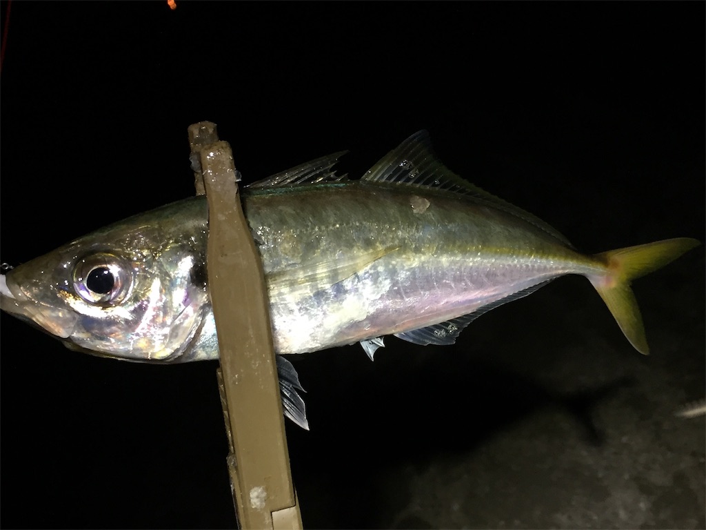 f:id:esojima3:20190711234454j:image
