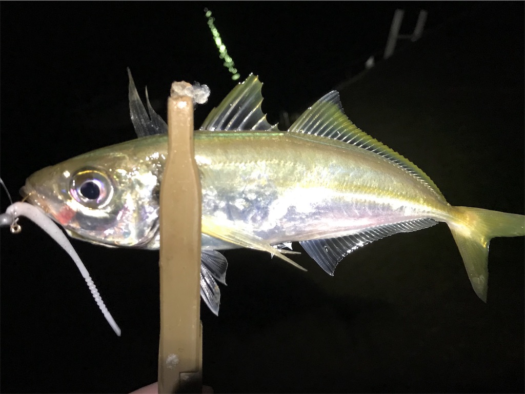 f:id:esojima3:20190714081847j:image