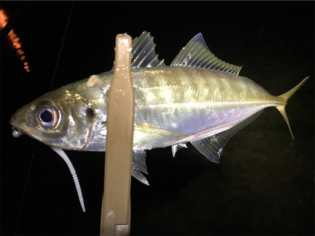 f:id:esojima3:20190714081924j:image