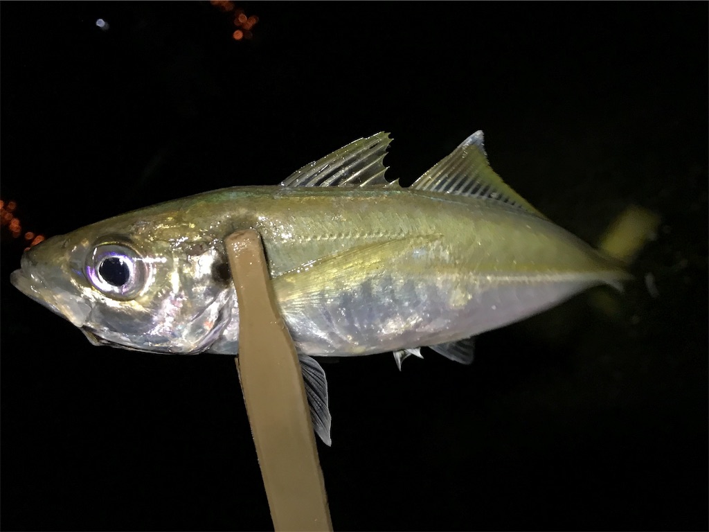 f:id:esojima3:20190715163150j:image