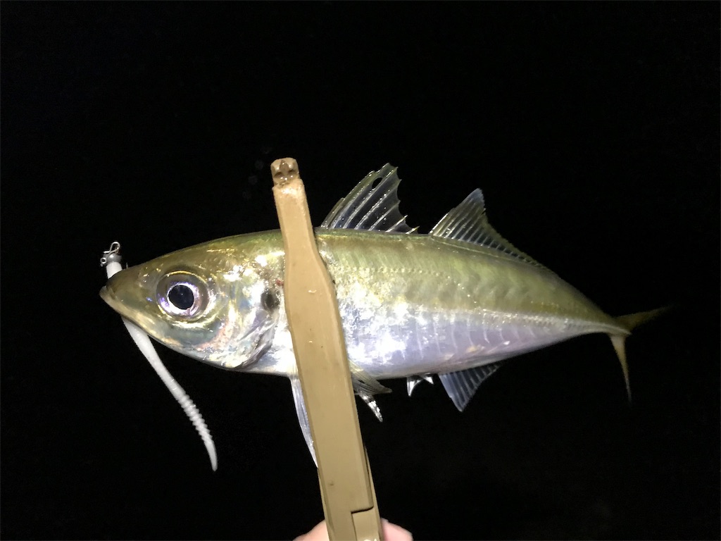 f:id:esojima3:20190719230559j:image