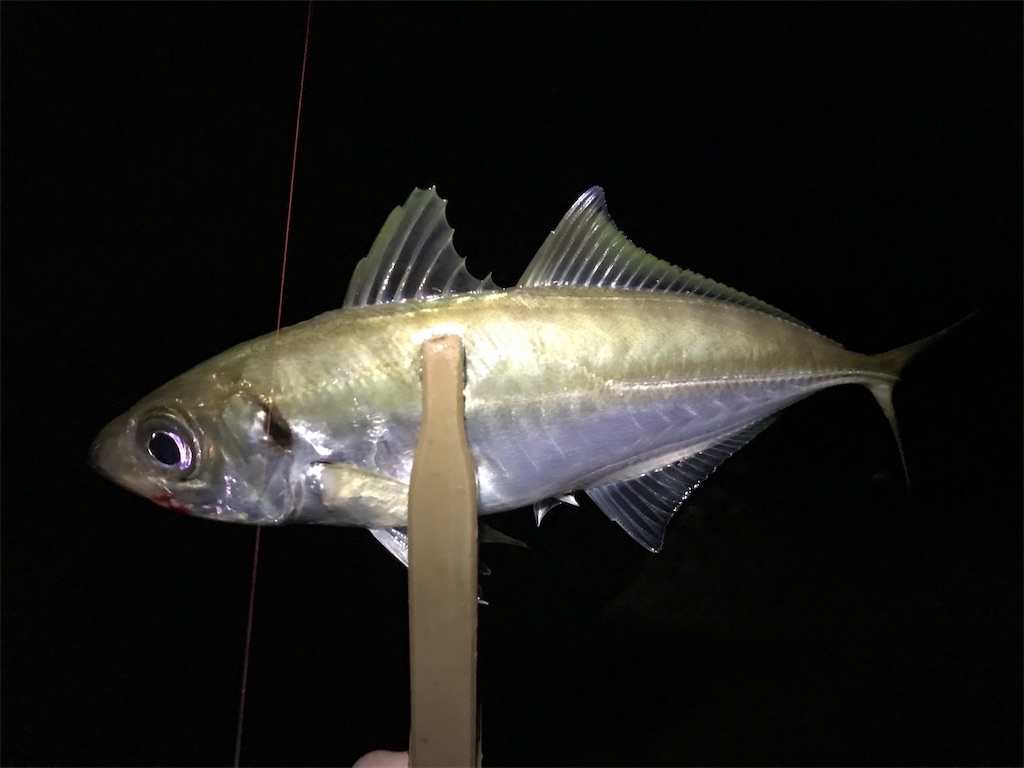 f:id:esojima3:20190719230605j:image