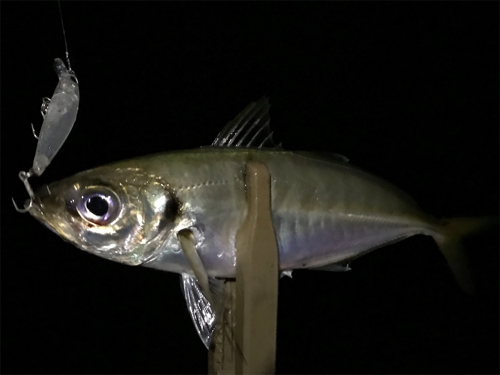 f:id:esojima3:20190719231159j:image