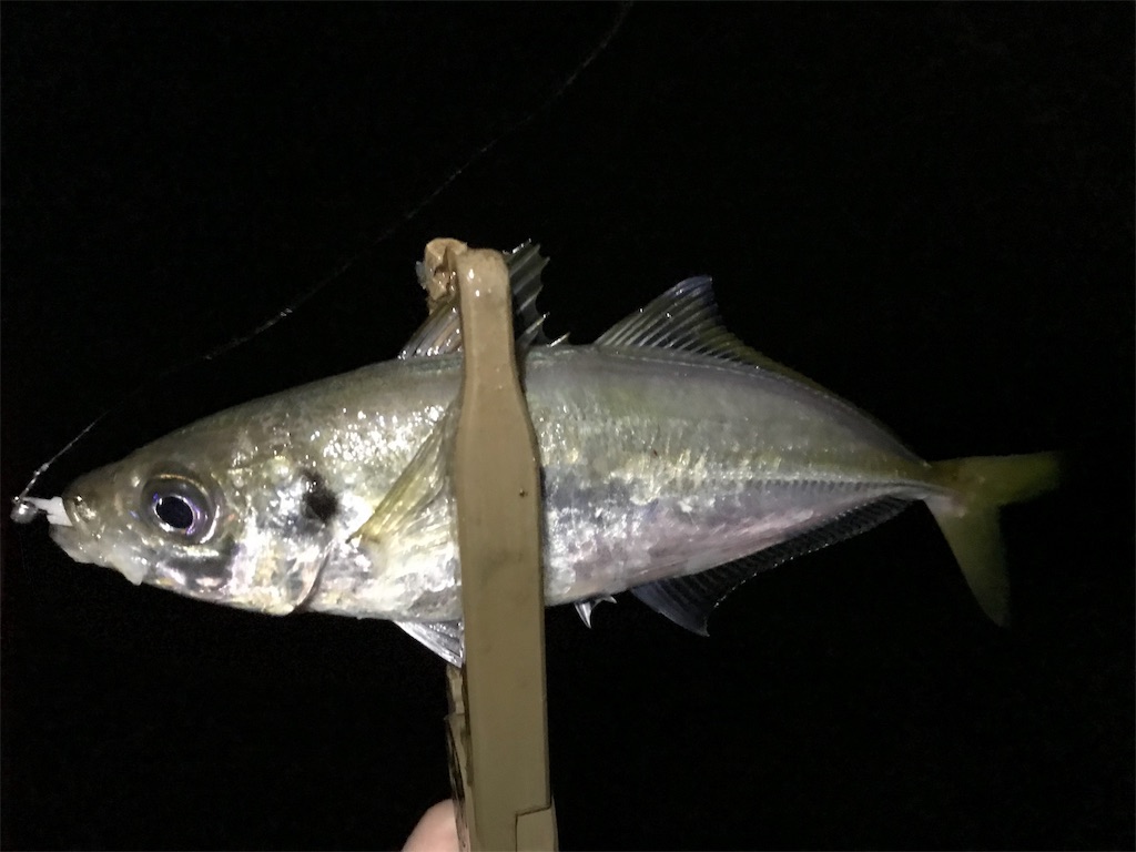 f:id:esojima3:20190719231229j:image